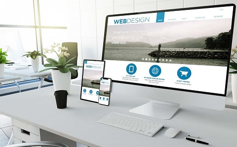 Web Development Company in Sunshine Coast